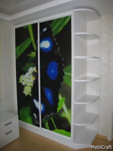 Шафа-купе з фотодруком метелика